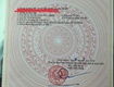 Bán lô 03n6 đấu giá bái ngoài   hoa động