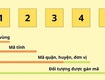 Vai trò quan trọng của mã bưu chính trong hệ thống bưu chính hiện đại...