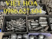 Việt hoa sắt mỹ thuật