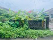 Cạnh vinhomes kiến thụy   lô đẹp 89m  đường 6m, giá chỉ 1,9x...