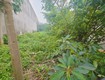 Bán đất 1000m   p.biên hòa mới,gần chợ hóa an,shr đường xe hơi,giá mềm...