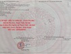 Vị trí đẹp   đầu tư sinh lời   chính chủ bán đất...