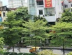 Chính chủ cho thuê nhà 5 tầng tại ngõ 82 kim mã, ba đình, hà...