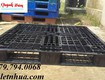 Mua bán pallet nhựa tại đồng tháp giá rẻ cho doanh nghiệp