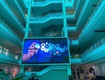 Màn hình led p2.5 gkgd smd2020   lựa chọn hàng đầu cho sân khấu...