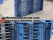 Pallet nhựa kích thước 1200x1000x150 tại tân phú   giá tốt, sẵn hàng ...