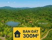 Sở hữu lô đất đẹp trong sun valley farm   view đồi xanh, khí...