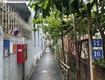 Nhà gần phố   hồ tây vài phút đi bộ   ngõ thông   ô...