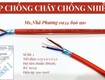 Cáp Chống Cháy Chống Nhiễu Tiêu Chuẩn Bs6387, Iec 60331 