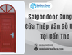 Saigondoor Cung Cấp Cửa Thép Vân Gỗ Uy Tín Tại Cần Thơ 
