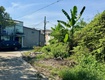 Bán đất shr  đông thạnh hóc môn  5,3x22m  đường 7m  gần trịnh thị dối...