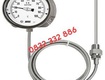 Dantek phân phối đồng hồ đo nhiệt độ wise dạng dây t239 ở quảng ninh...