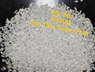 Gạo Sóc Dẻo   Gạo từ thiện   Gạo giá rẻ nhất   TTP 