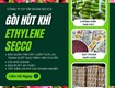 Gói hút khí ethylene secco chuyên bảo quản trái cây nông sản 
