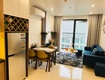Cho thuê căn hộ vinhomes ocean park tòa s110, căn 2309