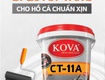 Chống thấm ct 11a đen bí quyết giữ hồ cá luôn chuẩn xịn...