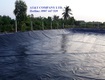 Bạt hdpe giải pháp chống thấm an toàn cho nhiều mô hình sản...
