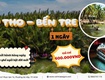 Tour mỹ tho   bến tre 1 ngày sgc tourist 