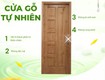 Cửa gỗ tự nhiên 