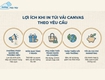 Túi vải canvas   công cụ marketing xanh giúp thương hiệu lan tỏa mạnh...