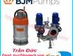 Máy bơm chìm bjm   bjm submersible pumps 