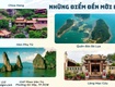 Tour đảo bà lụa rừng tràm trà sư châu đốc 2 ngày 2 đêm 