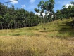 Bán 1,6 ha cao su   xã tân thành,huyện  bù đốp, bình phước...