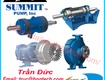 Nhà cung cấp summit pumps chính hãng 