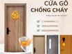 Cửa gỗ chống cháy 