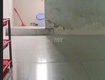 Chính chủ cho thuê phòng    giá rẻ   phường phú thọ...
