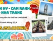 Tour tết âm 2026 vĩnh hy cam ranh nha trang 3n3đ   sgc tourist...