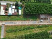 Lô đất 125m  đường nhựa 6m, lề 2m, thông đường long chiến, phường tân...