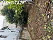 Bán đất phương canh   nam từ liêm   197m    ô tô qua...