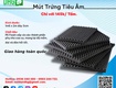 Mút Trứng Gà   Mút Tiêu Âm Nội Thất DHG 