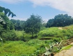 Hàng hiếm lương sơn: quỹ đất 4,4 héc ta pháp lý chuẩn...
