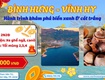 Tour tết âm 2026 bình hưng   vĩnh hy 2n2đ   sgc tourist...