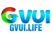 Gvui Life 
