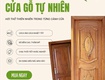 Cửa gỗ tự nhiên 