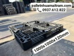 Bán Pallet Nhựa Kê Hàng Nông Sản   Thủy Hải Sản Khu Vực Miền Tây  ...
