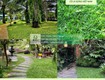 Thi công cây xanh   thảm cỏ công trình tại Đồng Nai, Bình Dương, TPHCM, Vũng Tàu,......