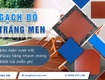 Gạch đỏ tráng men giải pháp chống rêu mốc, bền đẹp