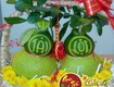 Bưởi hồ lô tài lộc quà tết cao cấp 2026 