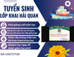 Tuyển sinh lớp học khai báo hải quan