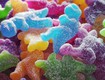 Kẹo dẻo hình thú mlem candy ngọt ngào, vui mắt, ăn là ghiền...