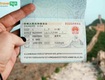 Travel talk công ty chuyên tư vấn hỗ trợ dịch vụ làm visa...