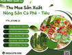 Phần mềm mua bán, quy chuẩn và công nợ hàng cafe, tiêu