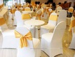 Bảng giá tham khảo khi chọn dịch vụ cho thuê bàn ghế đám cưới tp.hcm...