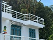 Cho thuê homestay 1500m2 đường hùng vương  phường 11 đà lạt giá 45 triệu...