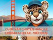 Giá cước vận chuyển hàng lẻ từ longbeach về việt nam 