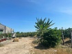 Bán 8.2 sào đất tân tiến   lagi gần biển chỉ 2.4 tỷ có...